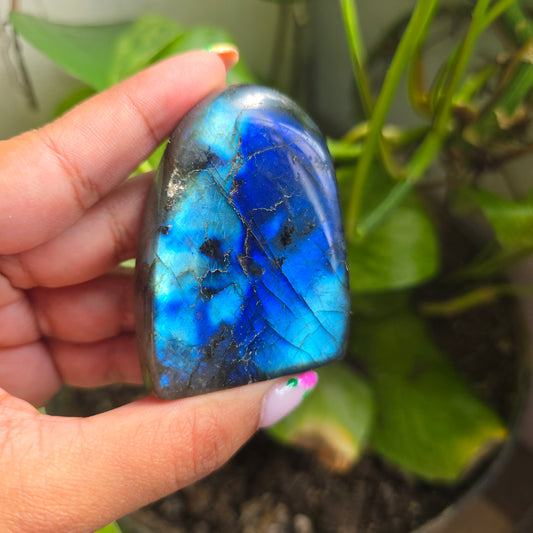 Labradorite Freeform - C
