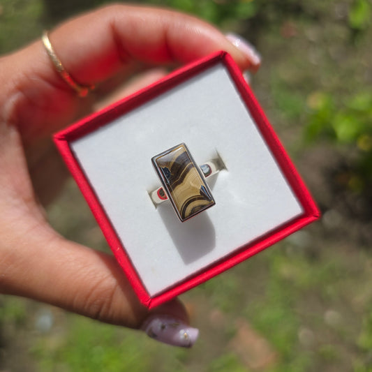 Schalenblende Gemstone Ring - Size 5.5