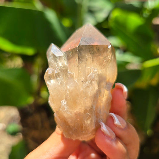 Elestial Citrine Specimen No 6