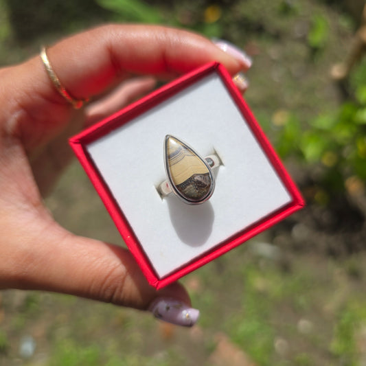 Schalenblende Gemstone Ring - Size 6