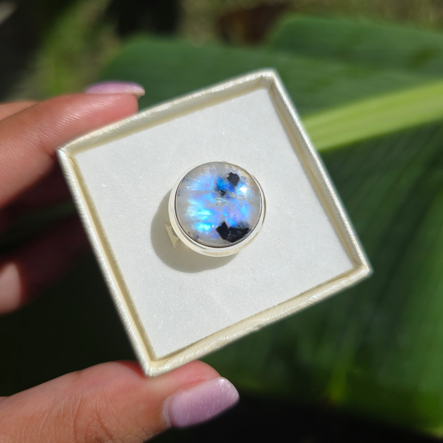 Rainbow Moonstone with Black Mica Ring - Size 8