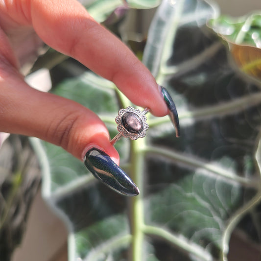 Adjustable Silver Plated Brass Ring - Hypersthene