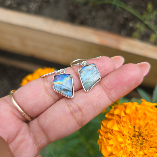 Multi Fire Labradorite Dangle Earring
