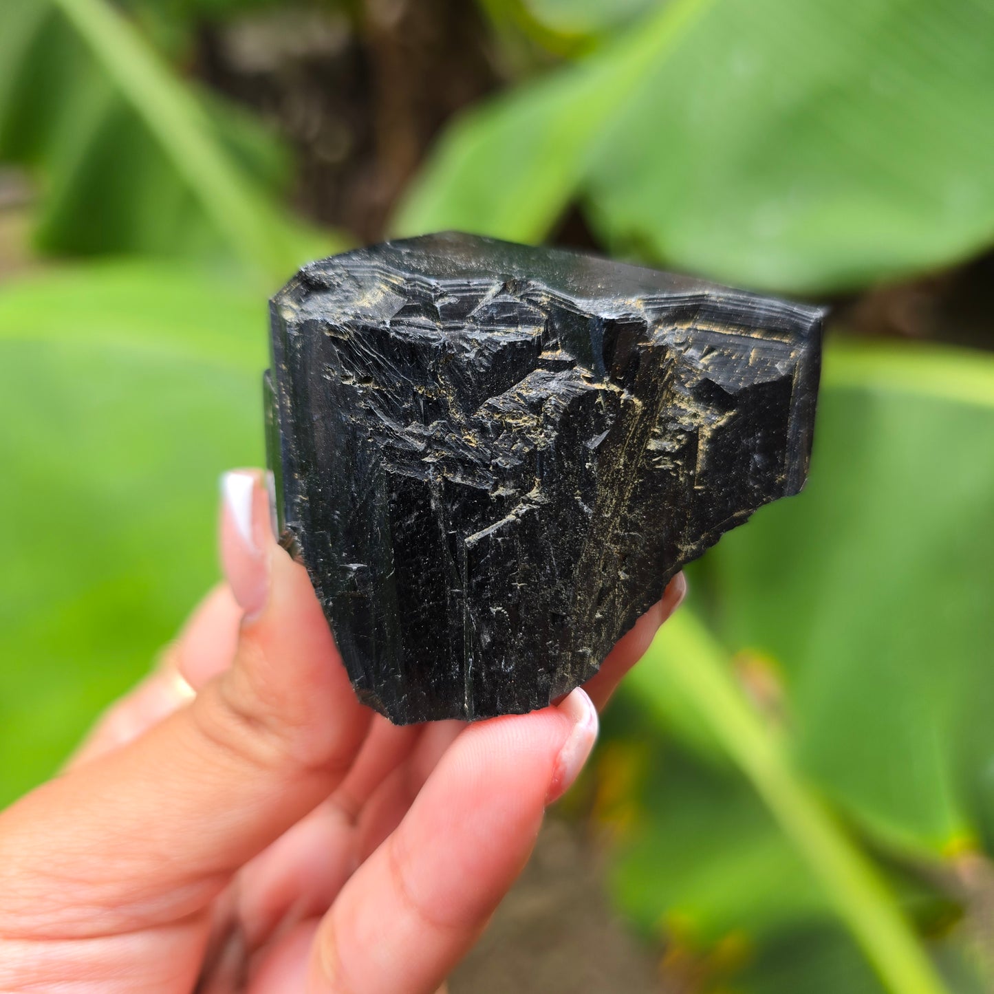 High Quality Black Tourmaline Specimen No 5