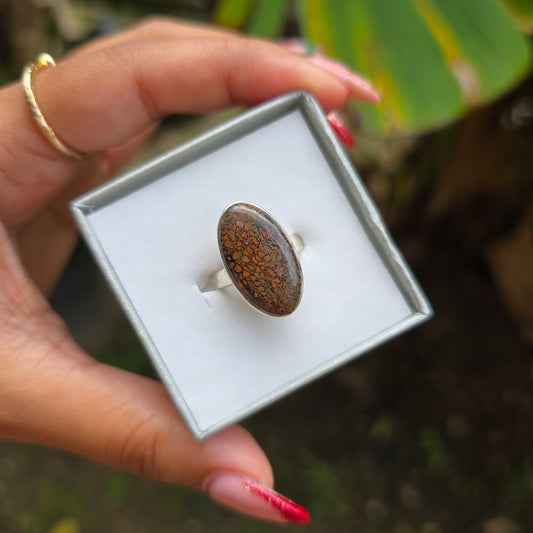 Fossilised Dinosaur Bone Ring - Size 6