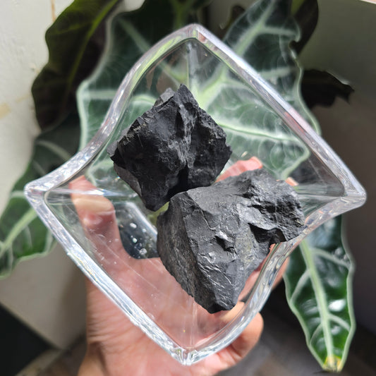 Raw Shungite Gemstone Chunk