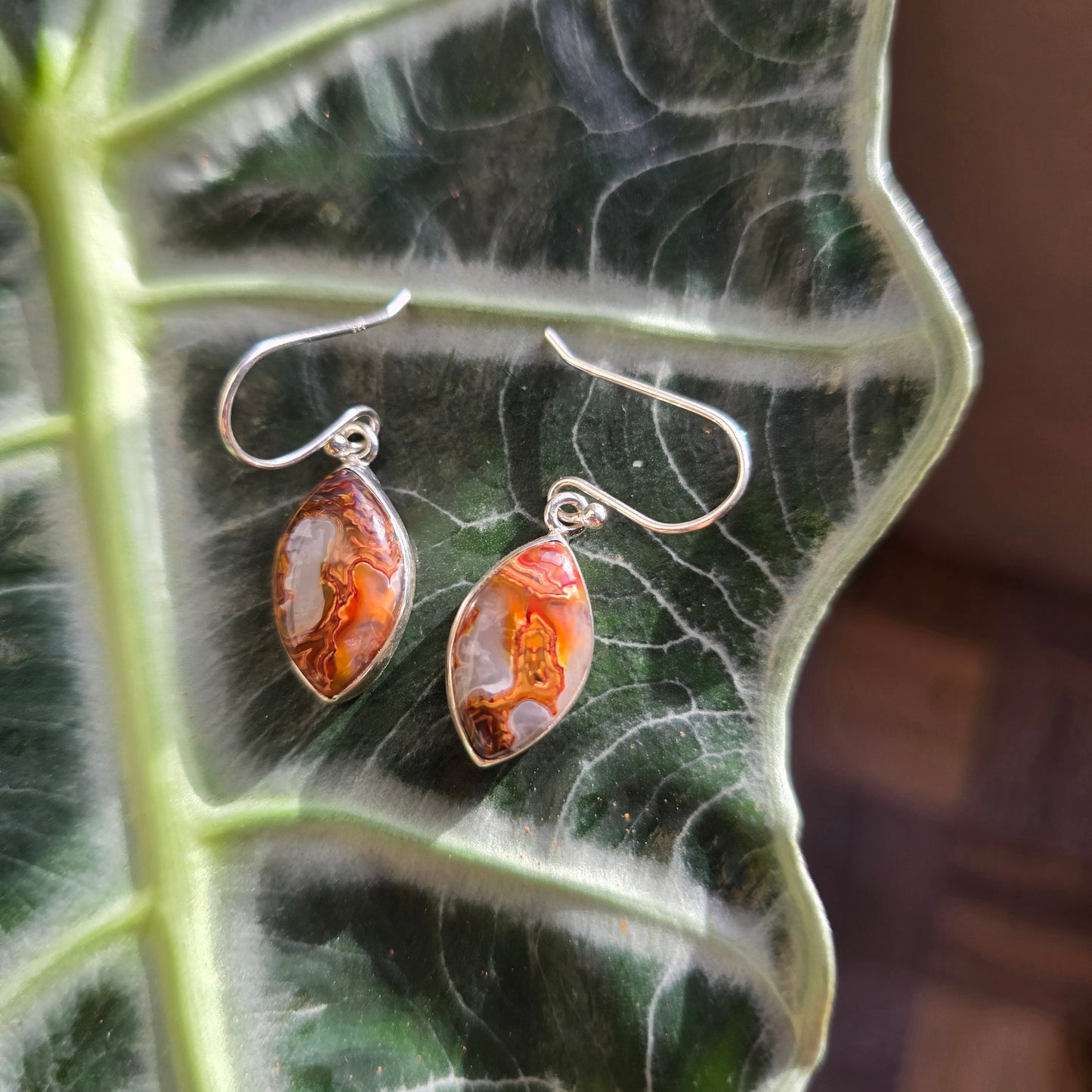 Laguna Lace Agate Earrings