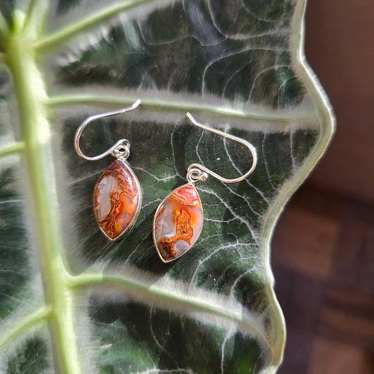 Laguna Lace Agate Earrings