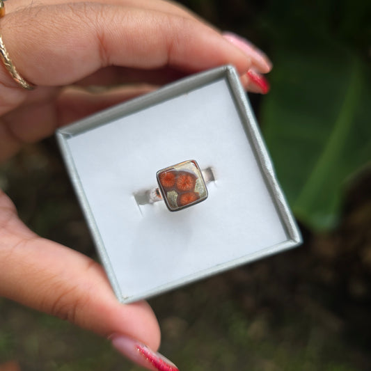 Peanut Obsidian Ring - Size 6