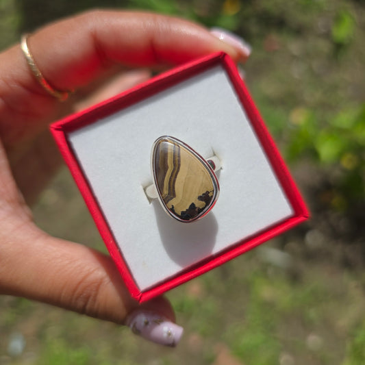 Schalenblende Gemstone Ring - Size 8