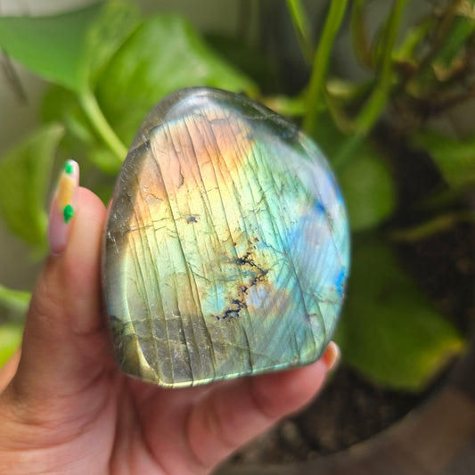 Labradorite Freeform - F