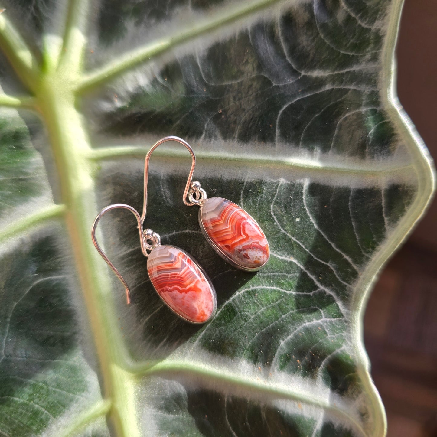 Laguna Lace Agate Earrings