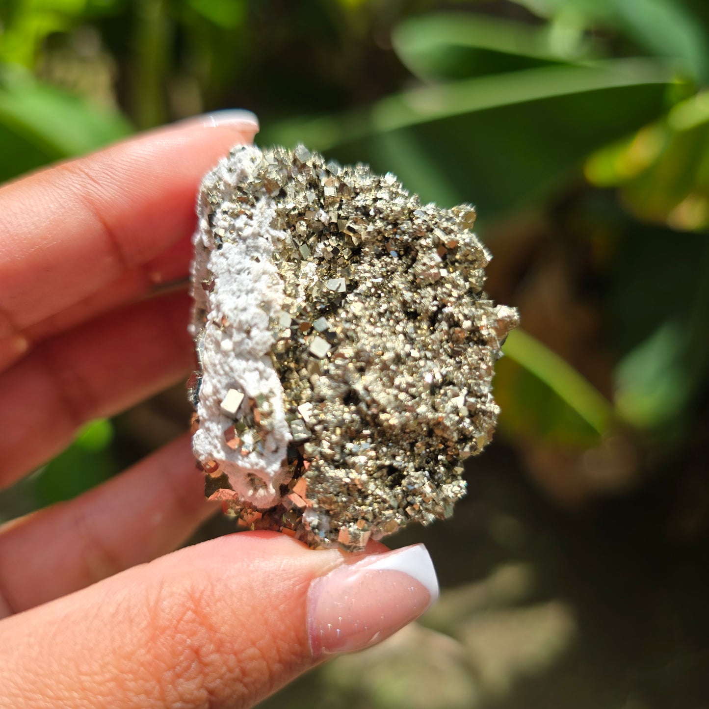 Pyrite Specimen No 1