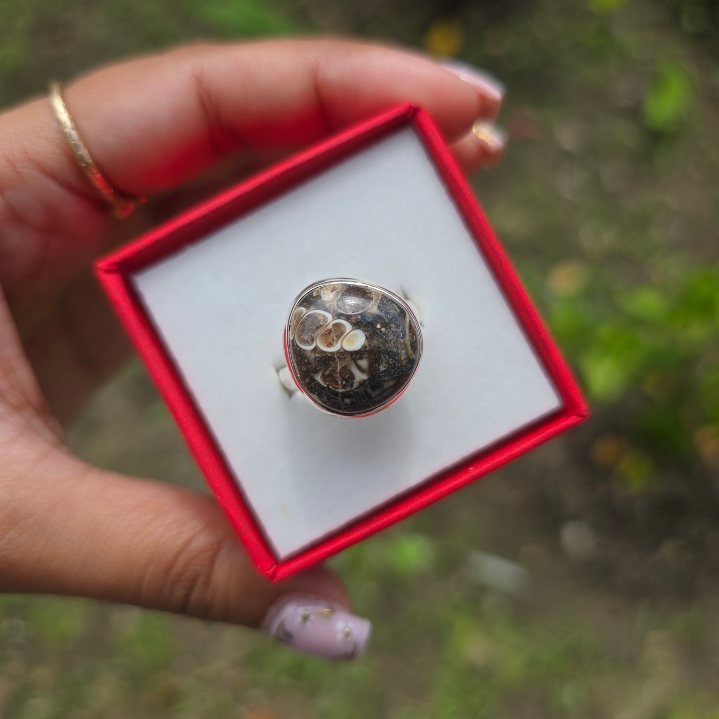 Turtella Jasper Gemstone Ring - Size 8