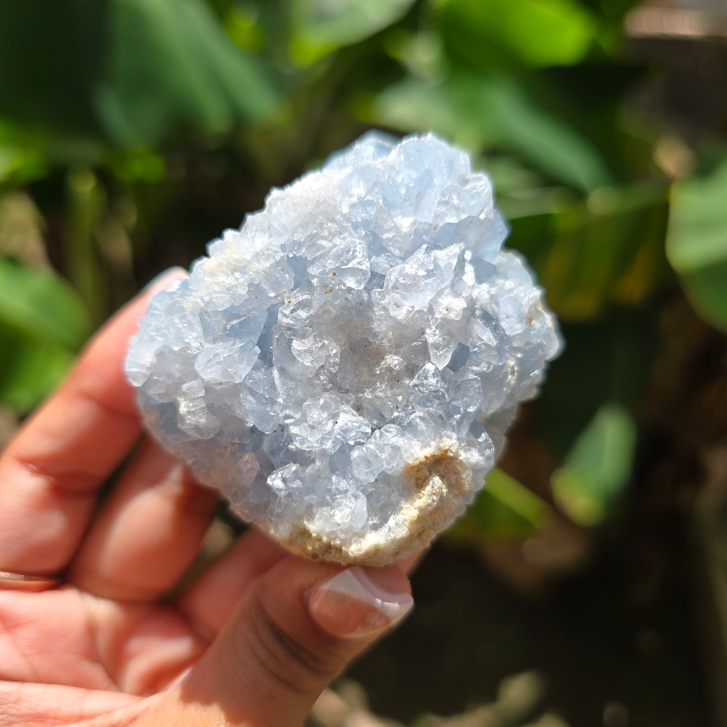 Celestite Specimen No 3