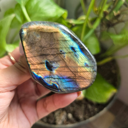 Labradorite Freeform - B