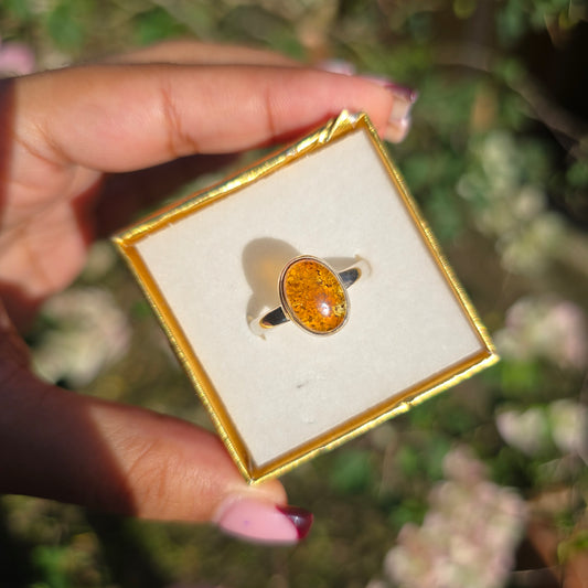 Amber Ring - Size 6.5