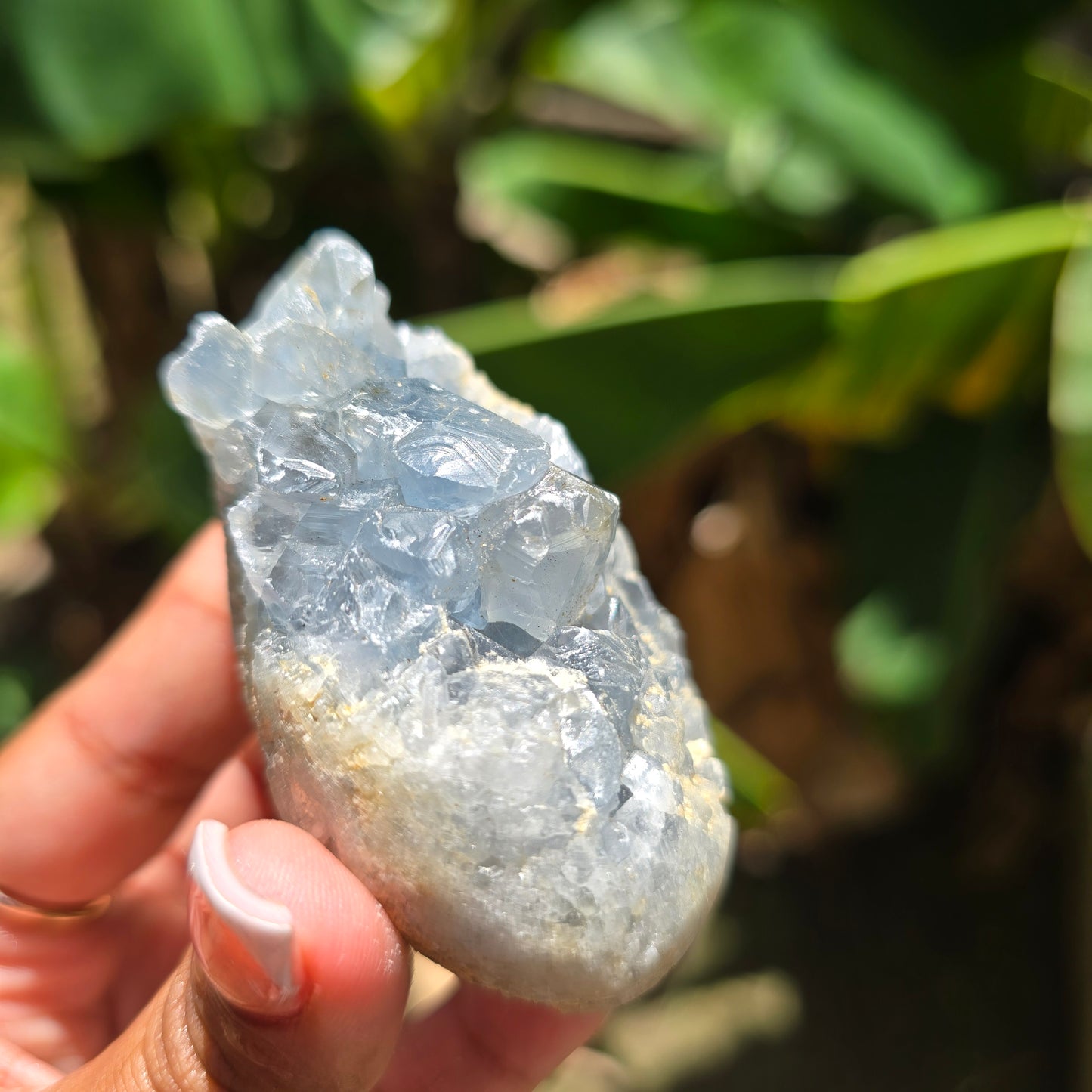 Celestite Specimen No 4