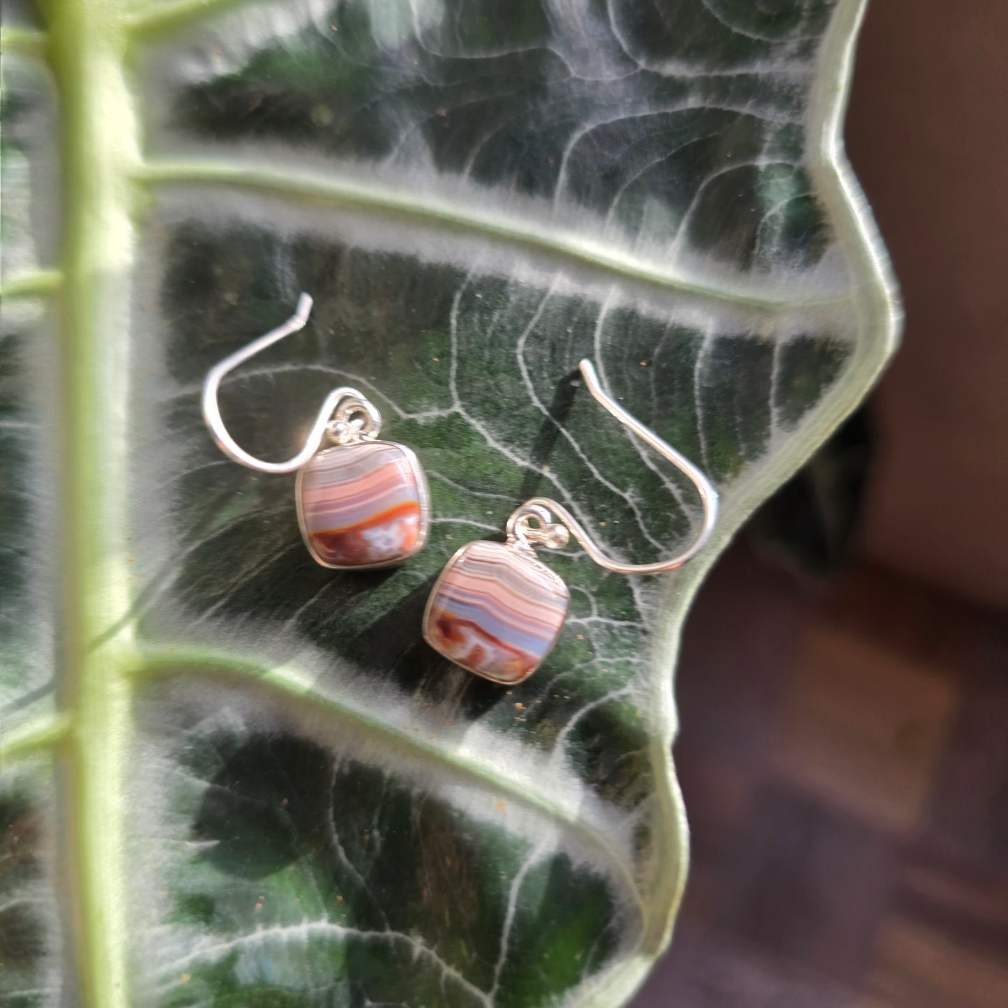 Laguna Lace Agate Earrings