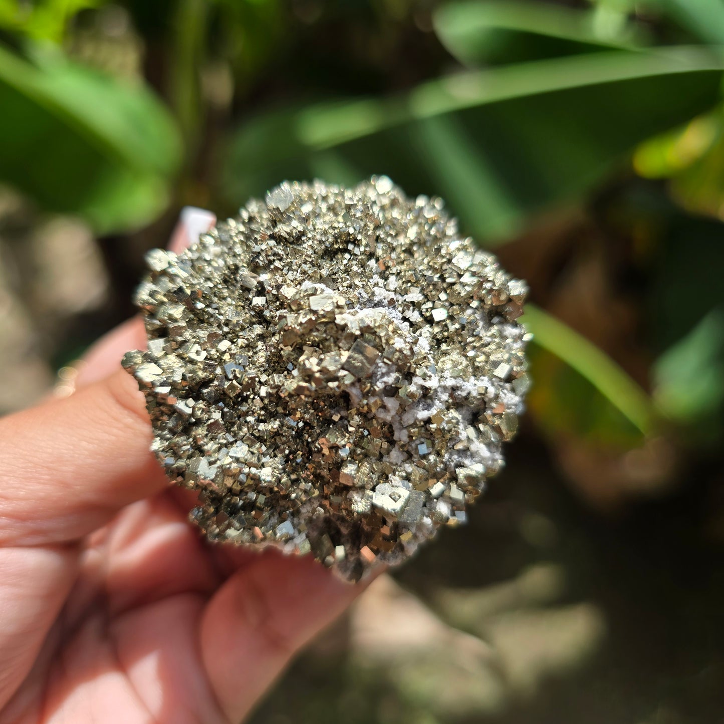 Pyrite Specimen No 1