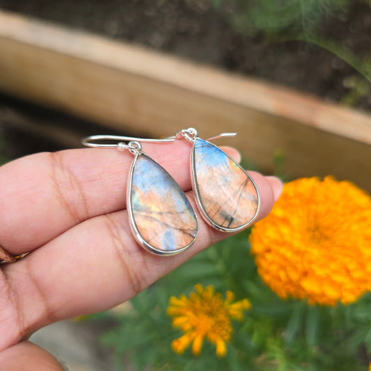 Multi Fire Labradorite Dangle Earring