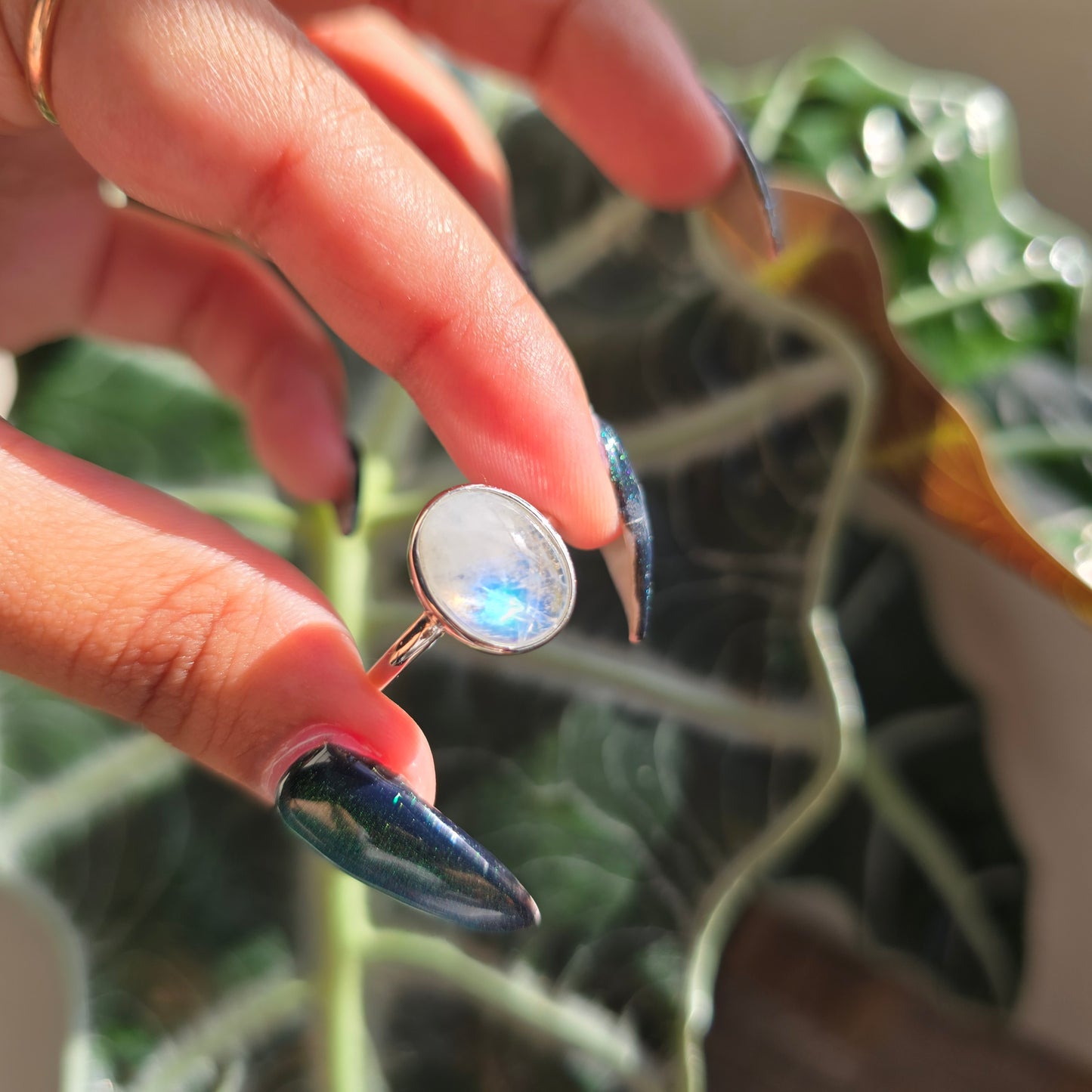 Adjustable Silver Plated Brass Ring - Rainbow Moonstone