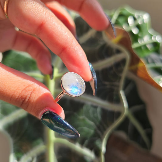 Adjustable Silver Plated Brass Ring - Rainbow Moonstone
