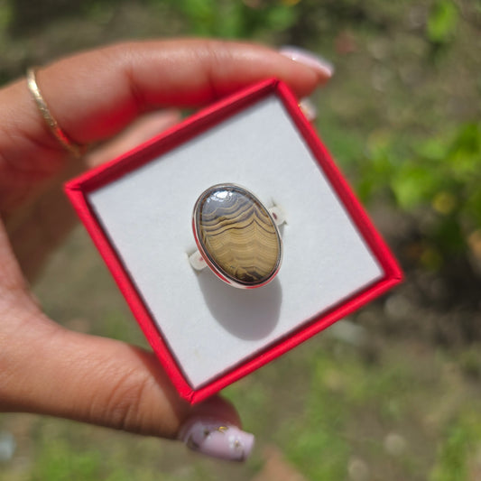 Schalenblende Gemstone Ring - Size 8