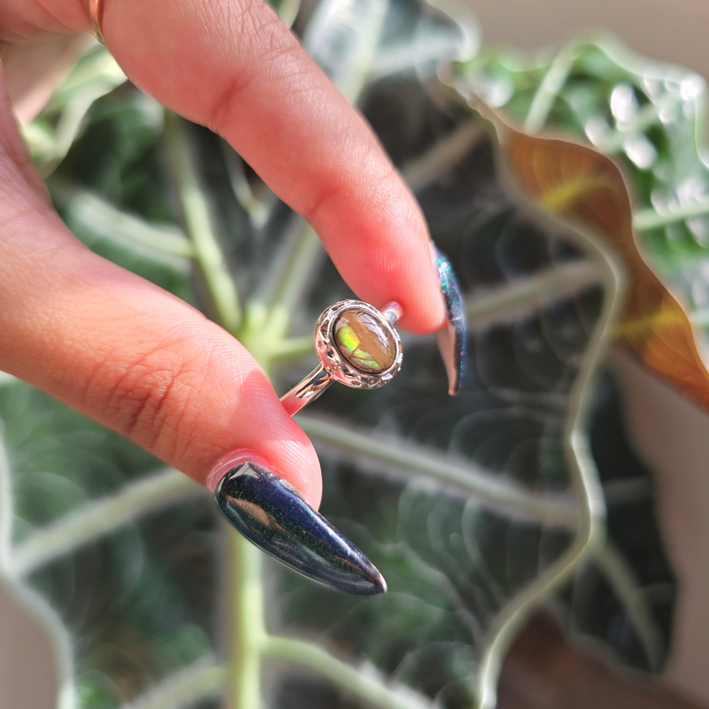 Adjustable Silver Plated Brass Ring - Ammolite