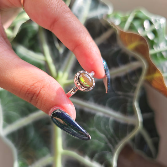 Adjustable Silver Plated Brass Ring - Ammolite