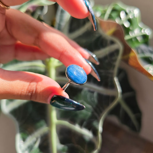 Adjustable Silver Plated Brass Ring - Blue Kyanite