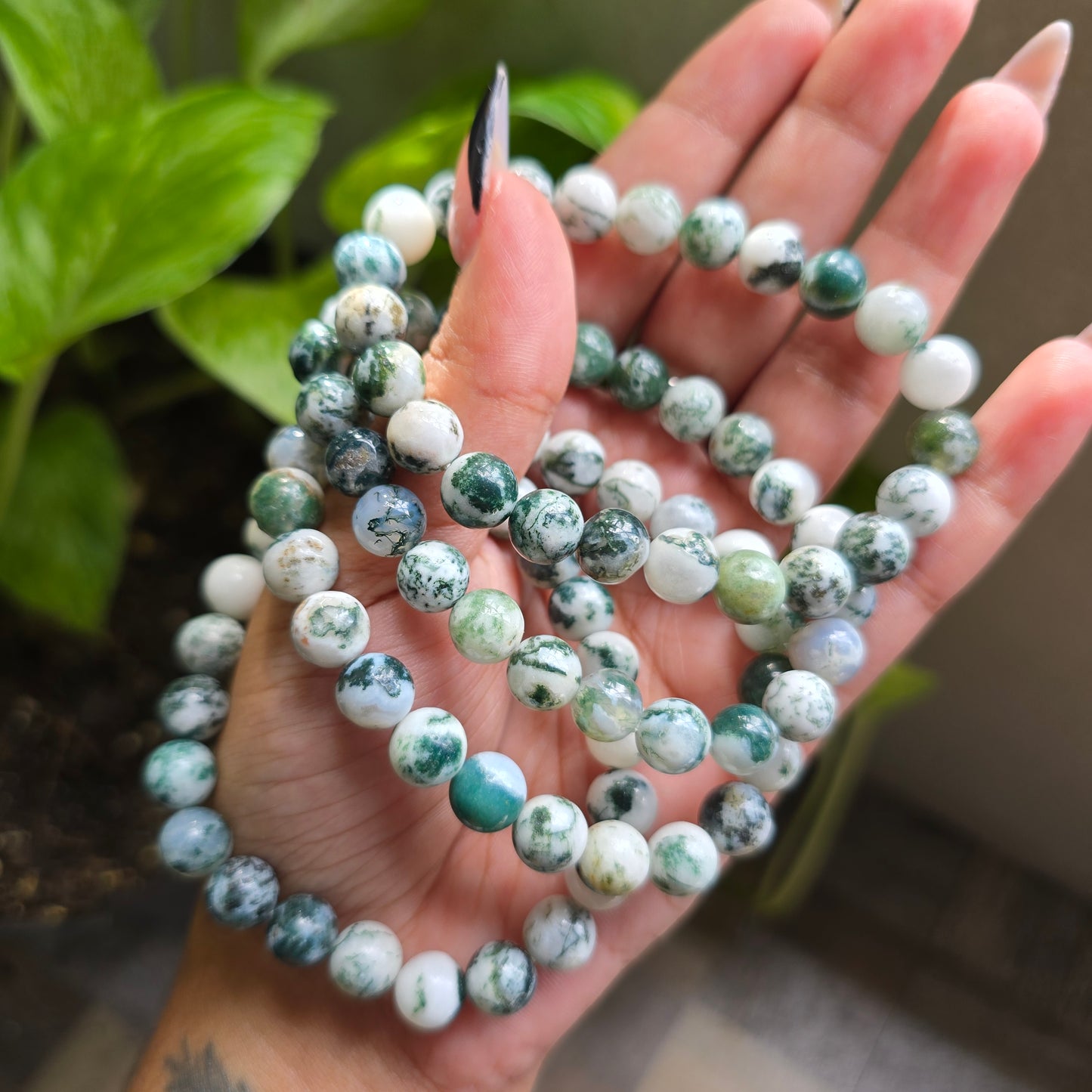 Tree Agate Gemstone Bracelet