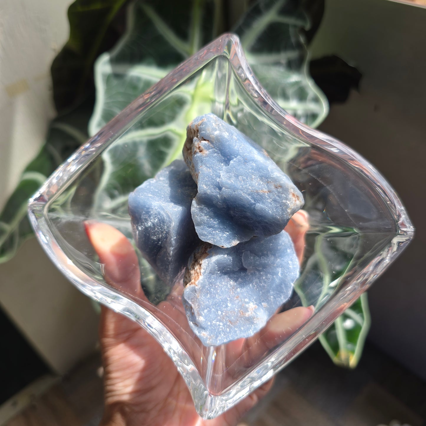 Raw Angelite Gemstone Chunk
