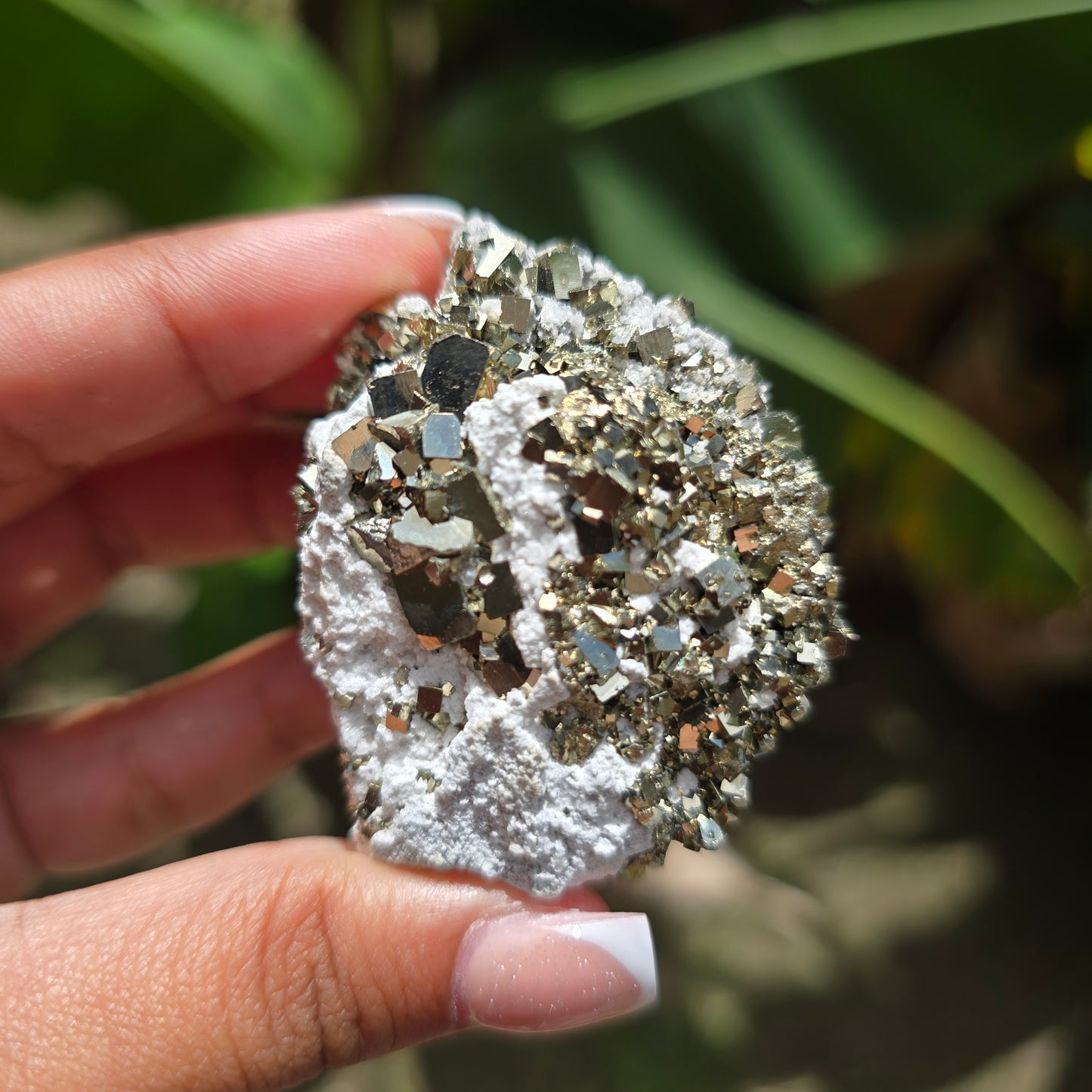 Pyrite Specimen No 1