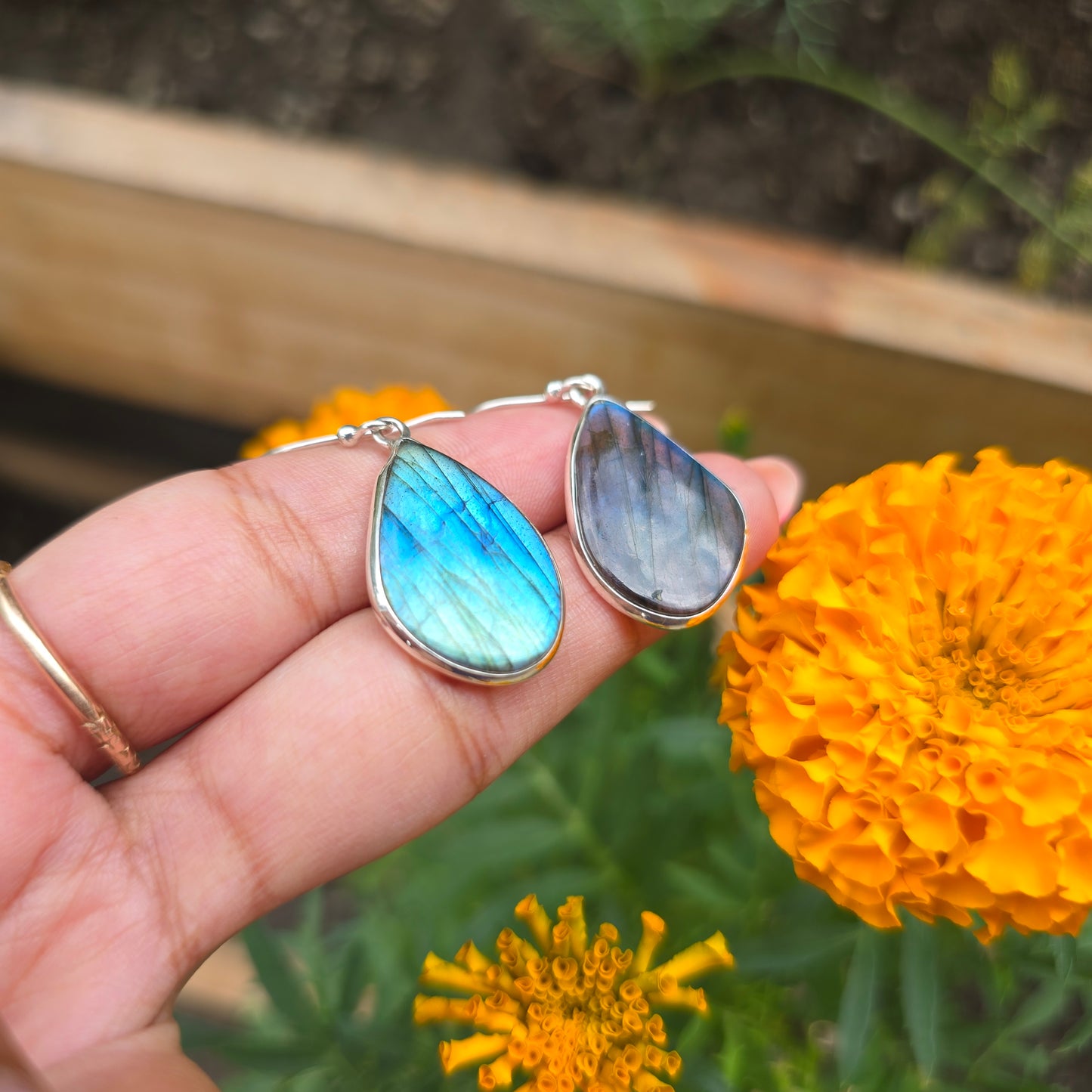 Multi Fire Labradorite Dangle Earring