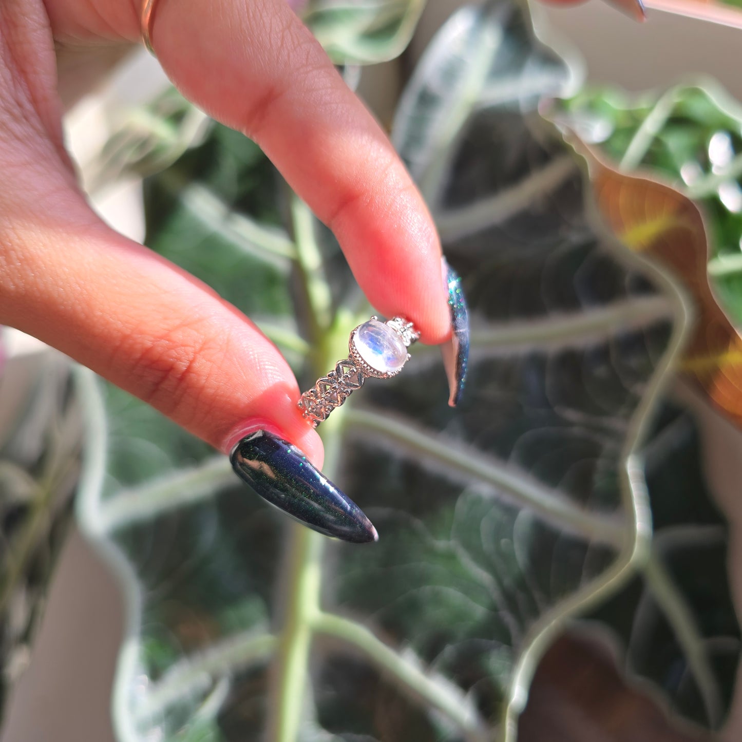 Adjustable Silver Plated Brass Ring - Rainbow Moonstone