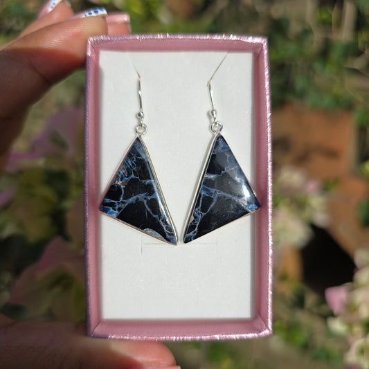 Pietersite Earrings