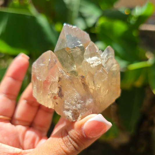 Elestial Citrine Specimen No 8