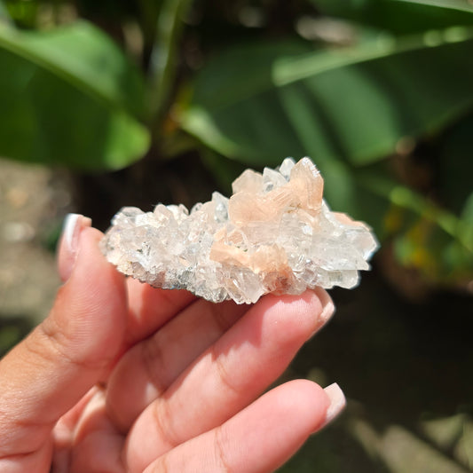 Apophyllite Specimen No 1