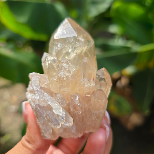 Elestial Citrine Specimen No 10