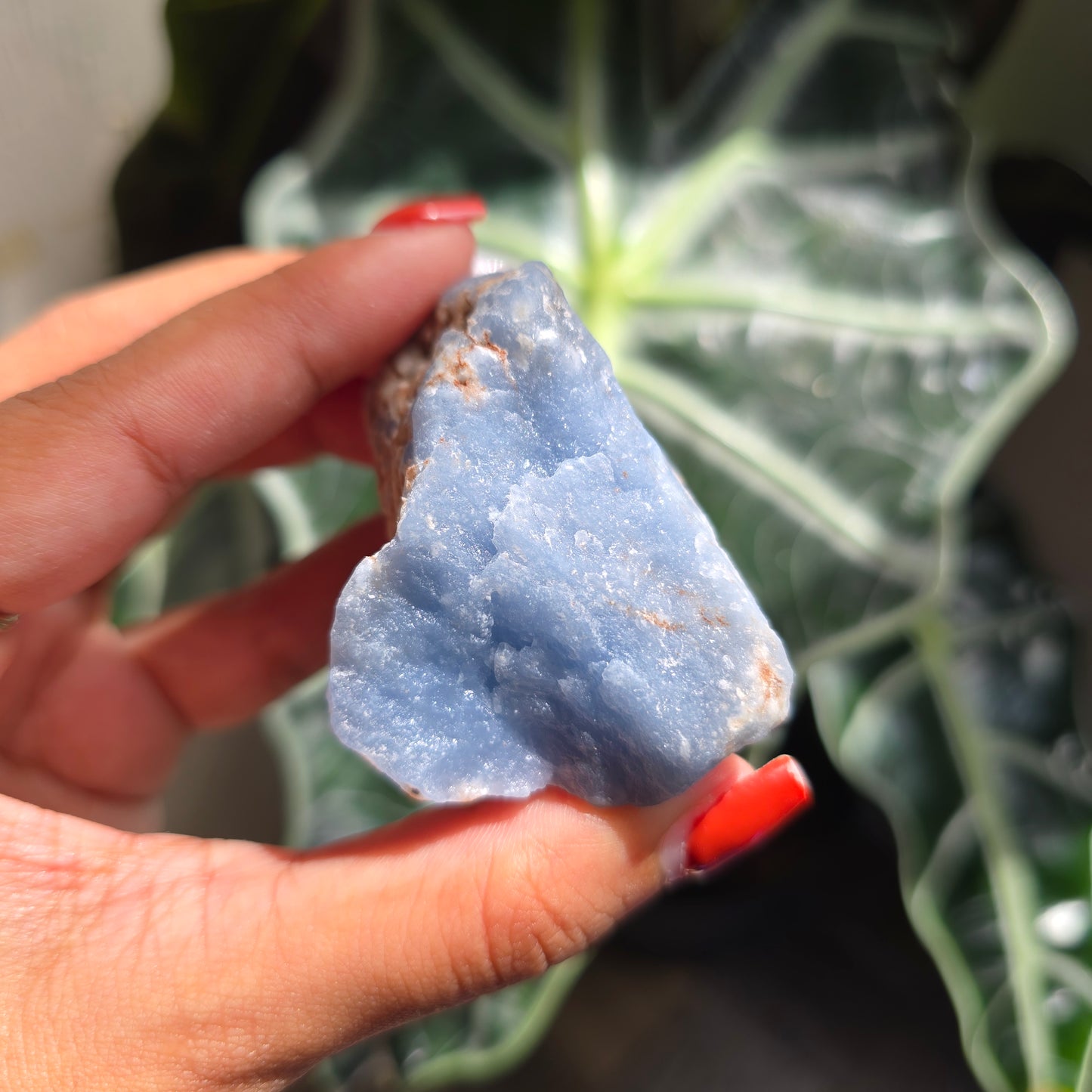 Raw Angelite Gemstone Chunk
