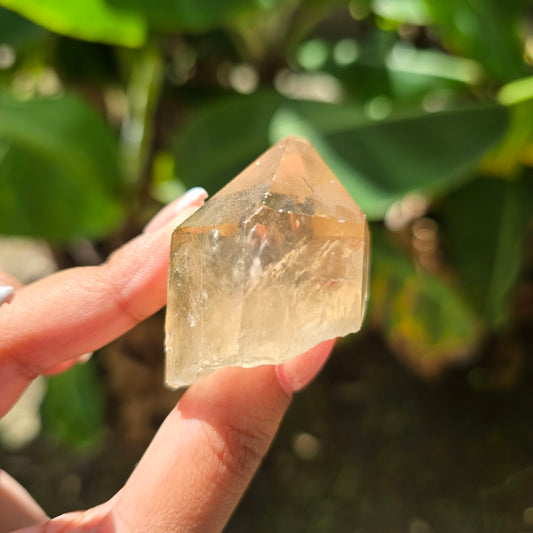 Elestial Citrine Specimen No 3