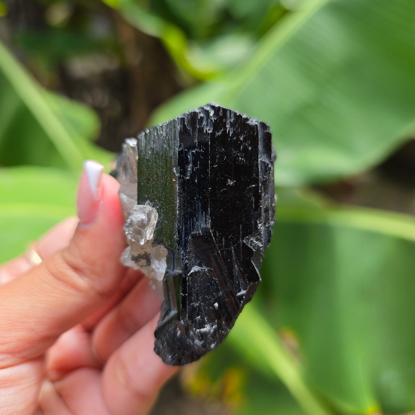 High Quality Black Tourmaline Specimen No 7