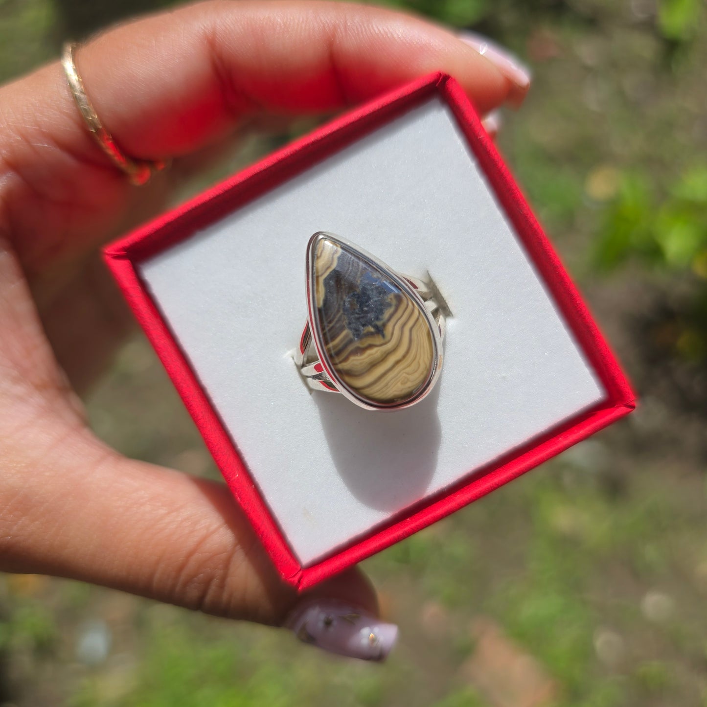 Schalenblende Gemstone Ring - Size 7