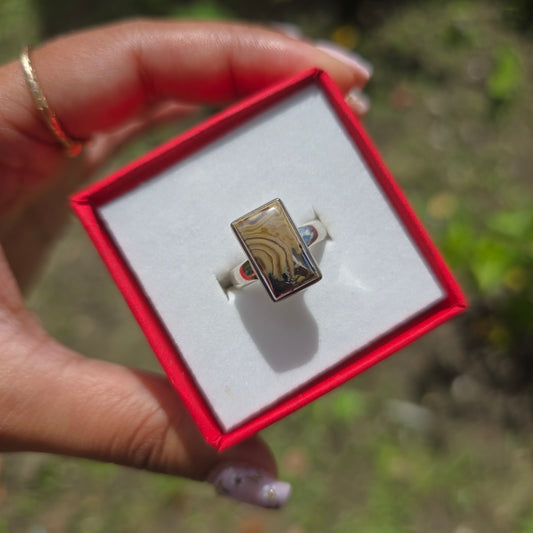 Schalenblende Gemstone Ring - Size 5