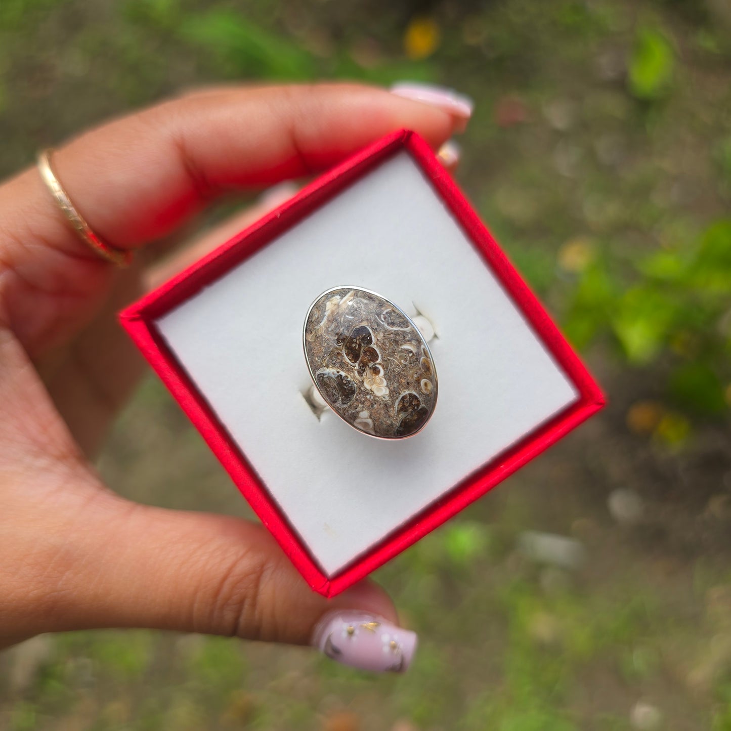 Turtella Jasper Gemstone Ring - Size 7