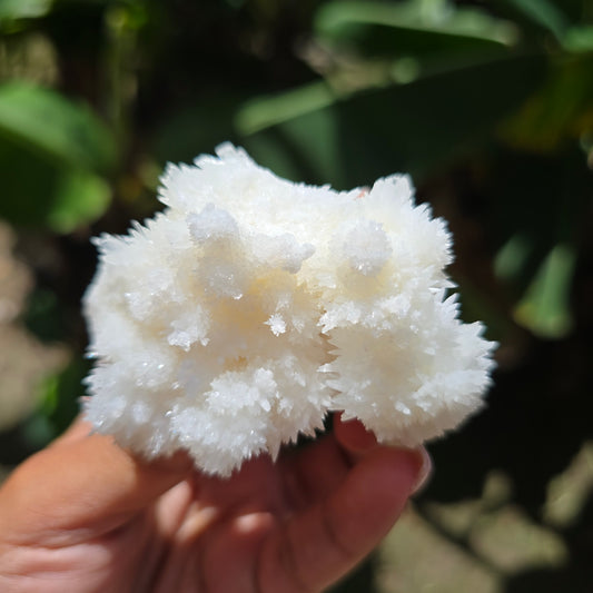Aragonite Specimen No 1
