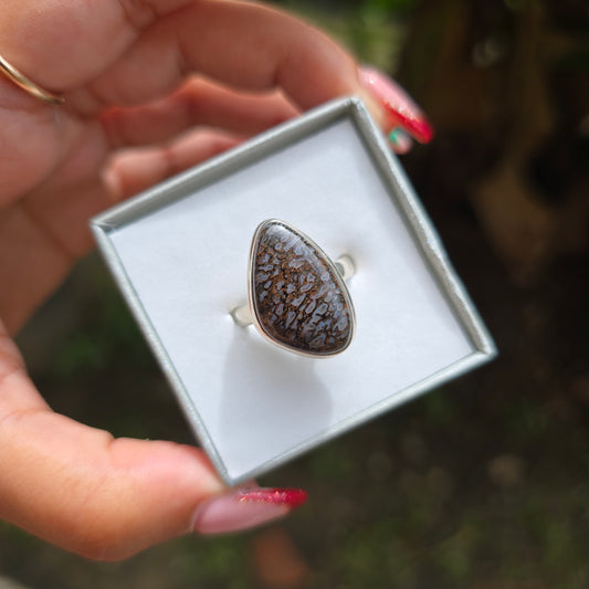 Fossilised Dinosaur Bone Ring - Size 9