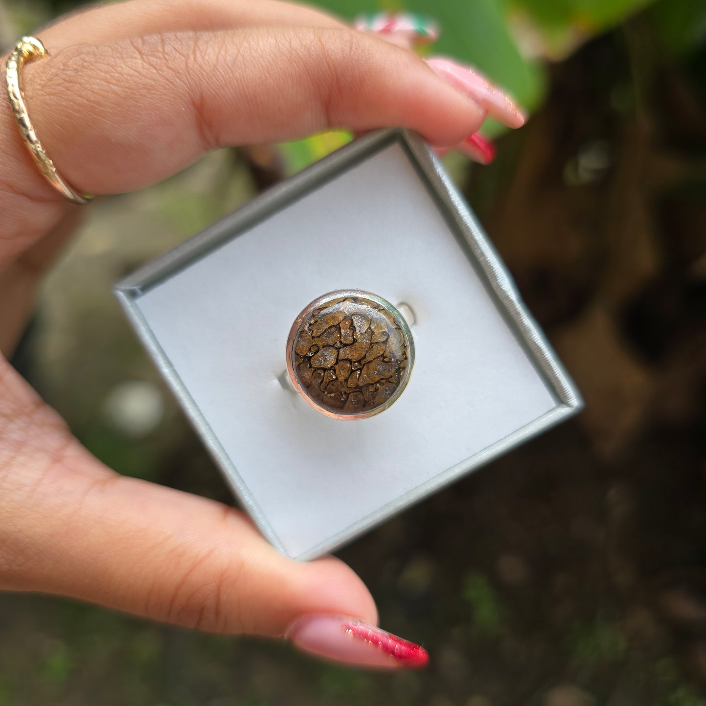 Fossilised Dinosaur Bone Ring - Size 8