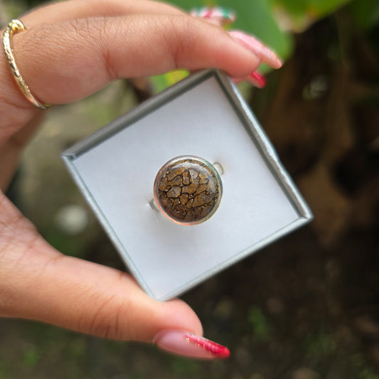 Fossilised Dinosaur Bone Ring - Size 8